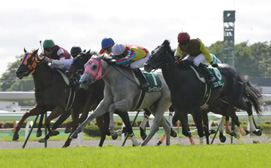 直線外から差しきって函館2歳Sを制したストークアンドレイ＝函館競馬場