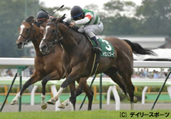 重賞初挑戦で函館記念を制したトランスワープ=函館競馬場