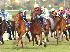 史上4頭目の牝馬3冠を狙うジェンティルドンナ(写真は2012年桜花賞)