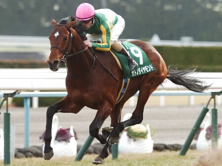 サトノダイヤモンド完勝！ 無傷の3連勝で重賞V！/きさらぎ賞 | 競馬