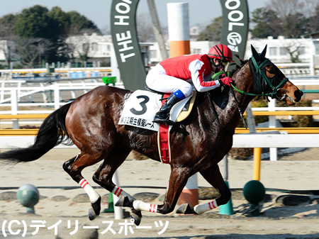 模擬レース最終戦で初Vの藤田菜七子さん「もっと上積みしていかないと」 | 競馬ニュース - netkeiba