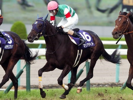 マリアライトが牡馬撃破！ 11年ぶり3頭目の牝馬V！/宝塚記念 | 競馬