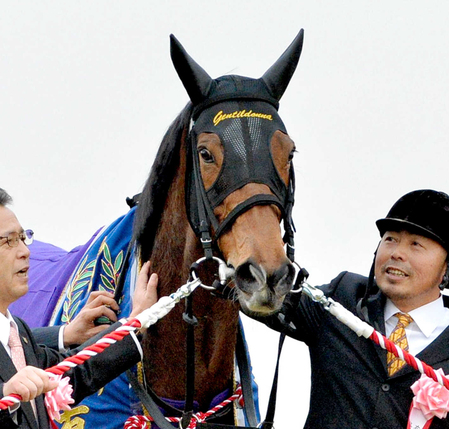 ジェンティルドンナが顕彰馬に | 競馬ニュース - netkeiba