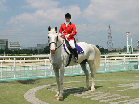 園田の名物誘導馬マコーリーが老衰のため逝去 | 競馬ニュース - netkeiba