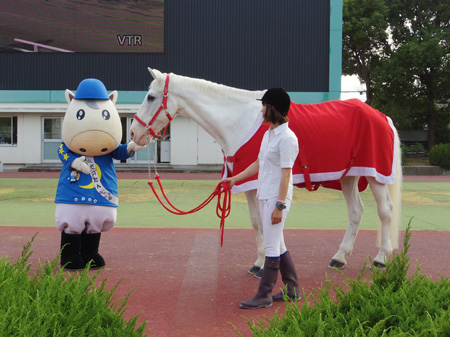 園田のアイドル”だったマコーリー「たくさんの人を笑顔にしてくれる馬でした」 | 競馬ニュース - netkeiba