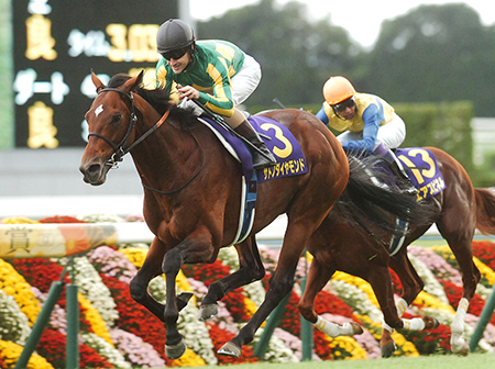 サトノダイヤモンド完勝！ 最後の1冠で悲願のGI制覇！/菊花賞 | 競馬ニュース - netkeiba