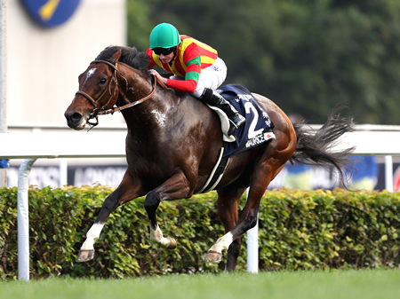 モーリス圧勝で有終の美！ エイシンヒカリは10着/香港C | 競馬ニュース