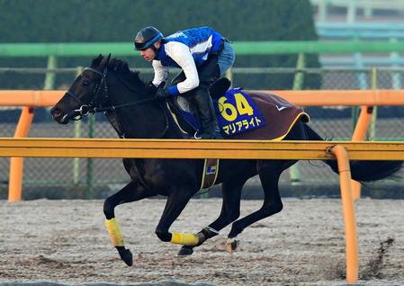 有馬記念】マリアライト仕上がり文句なし 久保田師「記憶に残るレース