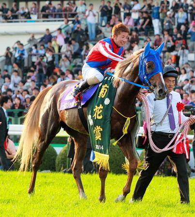 トーホウジャッカル 馬券 - その他