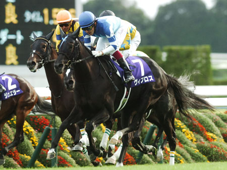 秋華賞馬ヴィブロスがドバイターフ参戦へ 鞍上は福永騎手 | 競馬ニュース - netkeiba