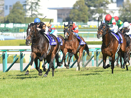 競馬 □WIN５を ～３９回～ 的中させた□ 最強ロジック！！ 最高