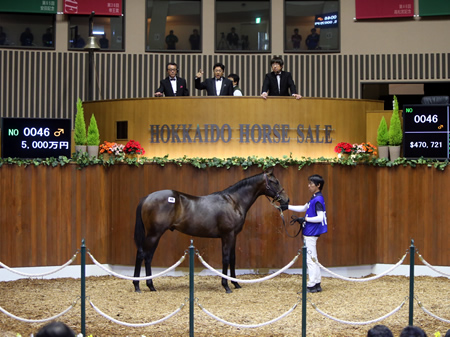 ディープブリランテ半弟などGI馬のきょうだいが多く上場！ セレクションセールの見どころ | 競馬ニュース - netkeiba