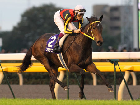 ブエナビスタ1枠2番、デインドリーム7枠13番/ジャパンC | 競馬