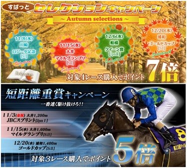 SPAT4】マイルグランプリ(大井)はポイント最大11倍！ | 競馬ニュース - netkeiba