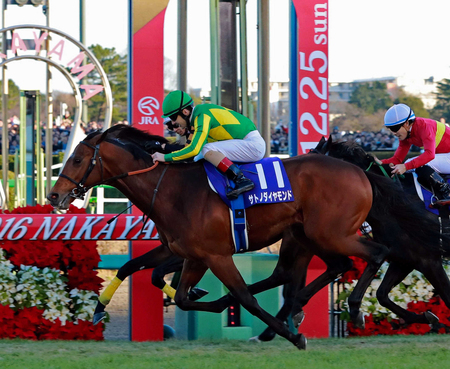 サトノダイヤモンド 有馬記念回避で年内休養 来秋は海外へ 年明け復帰予定 | 競馬ニュース - netkeiba