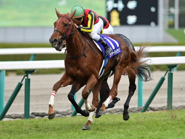 ラッキーライラックが無傷の3連勝で戴冠！ オルフェ産駒GI初制覇