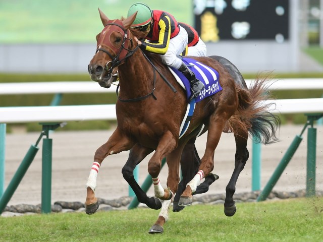 最優秀2歳牝馬は満票でラッキーライラック オルフェーヴル産駒初のGI