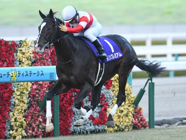 最優秀2歳牡馬はダノンプレミアム 無傷3連勝で朝日杯FSを制覇 | 競馬 