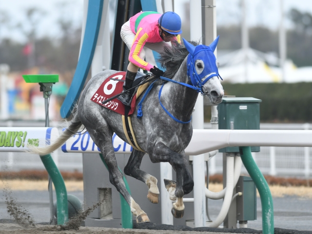 テイエムジンソクが逃げ切り完勝！ いざGI獲りへ！/東海S | 競馬