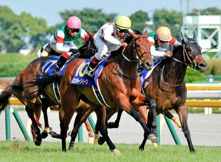 ミッキークイーン引退 繁殖入り 初年度はロードカナロアを種付け