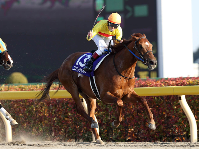 フェブラリーSは前走大敗馬を狙え！ エリカ様が東京ダート千六で万券