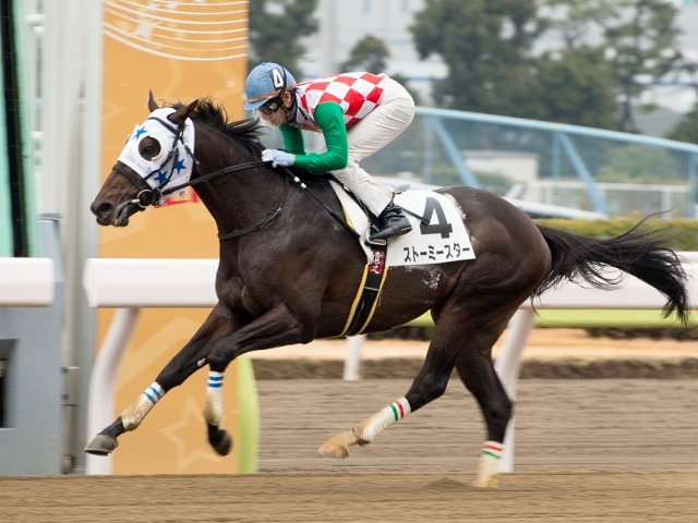 大井の矢野貴之騎手が通算1000勝達成 | 競馬ニュース - netkeiba