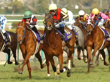 ジェンティルドンナが勝利、ジョワドヴィーヴル6着/桜花賞 | 競馬