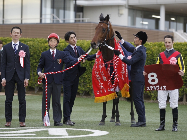 スプリングS勝ち馬ステルヴィオ、皐月賞もルメール騎手とコンビ継続 | 競馬ニュース - netkeiba