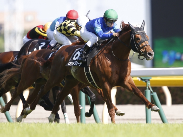 ベスト アプローチ 馬 人気