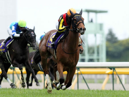 ジェンティルドンナ、5馬身差圧勝で2冠制覇/オークス | 競馬ニュース - netkeiba