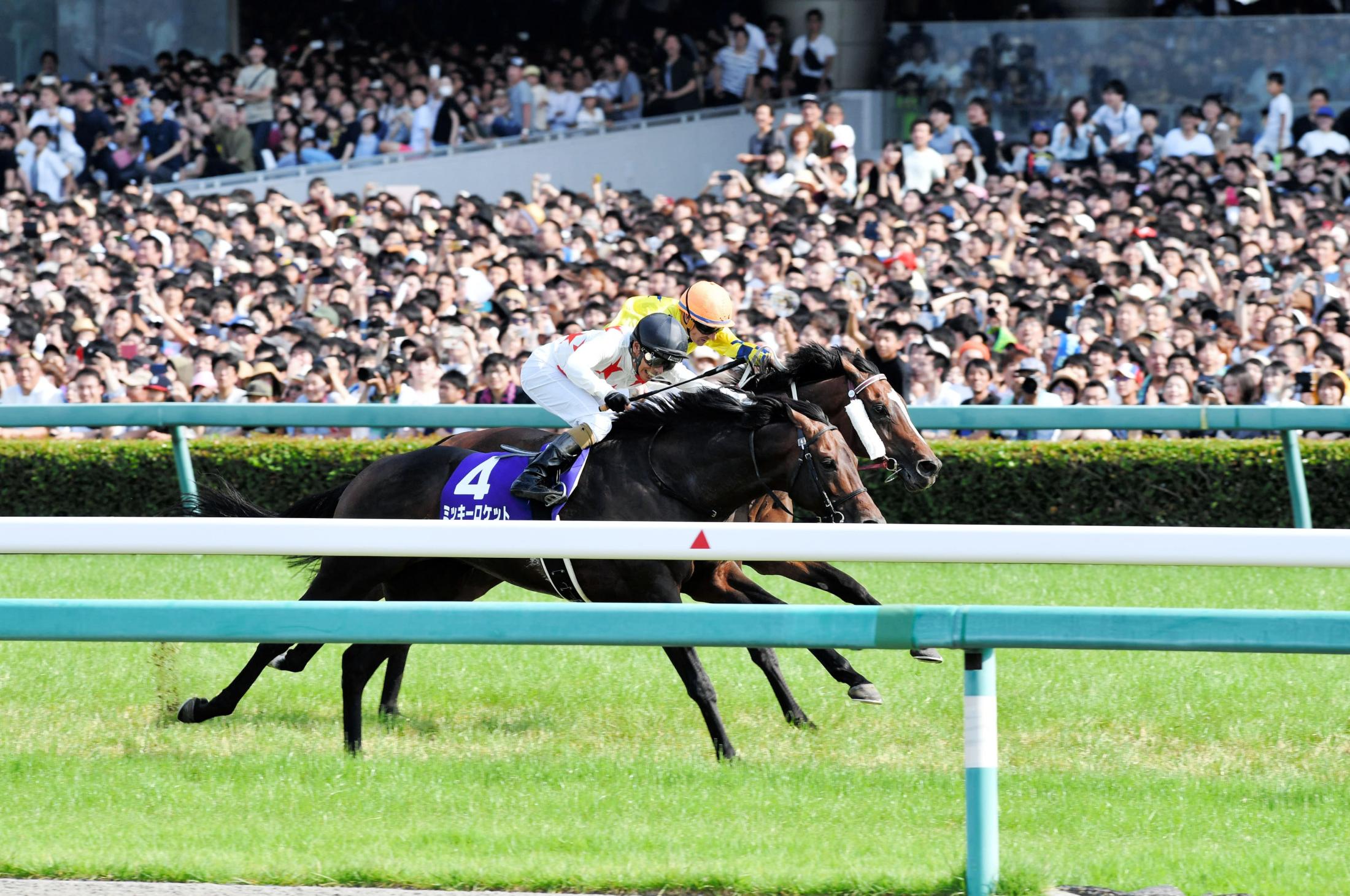 宝塚記念】ミッキーロケット悲願Ｇ１初戴冠 和田０１年春盾以来１７年ぶり制覇 | 競馬ニュース - netkeiba