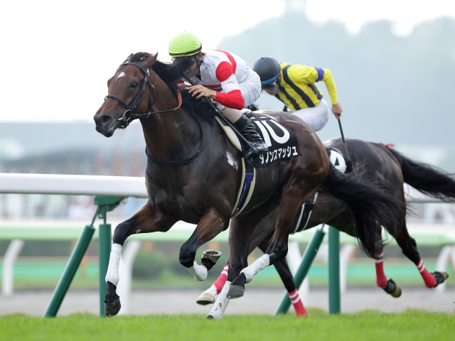 函館日刊スポーツ杯】(函館) 3歳馬ダノンスマッシュが3番手から