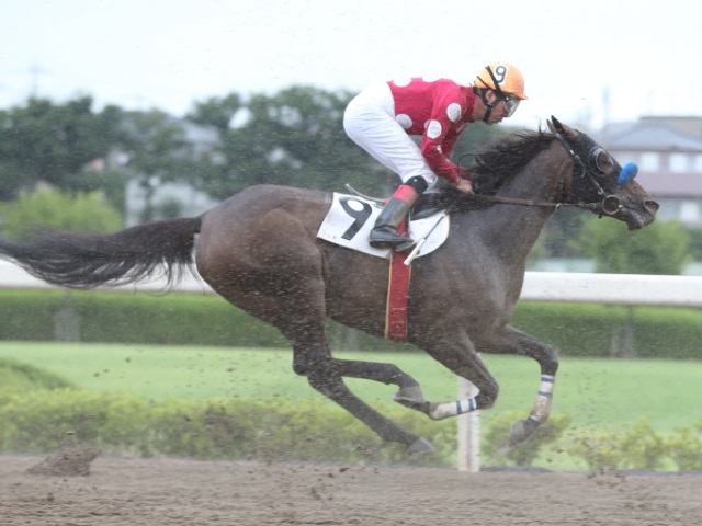 地方競馬】JRA交流戦で的場文男騎手は5着 本日残り1鞍/浦和競馬レース結果 | 競馬ニュース - netkeiba