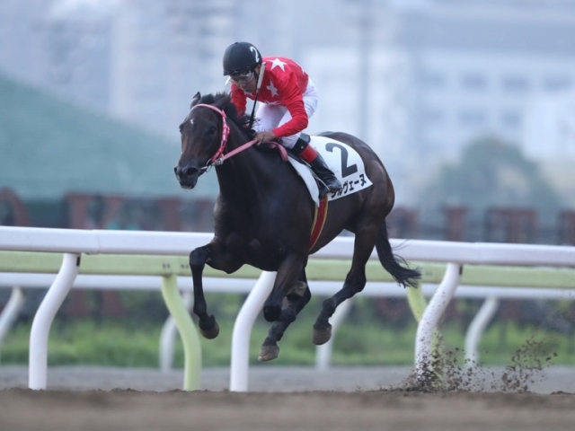 的場文男騎手が地方競馬通算7152勝目！ 佐々木竹見元騎手を超えついに記録更新 | 競馬ニュース - netkeiba