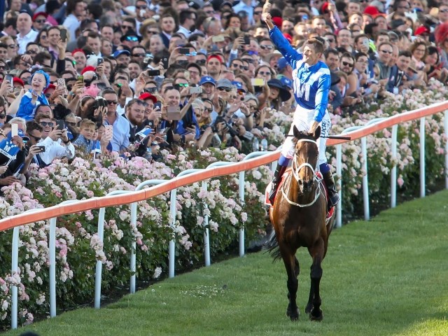 海外競馬】ウィンクスがウィンクスSで復帰 名牝・ブラックキャビア超え