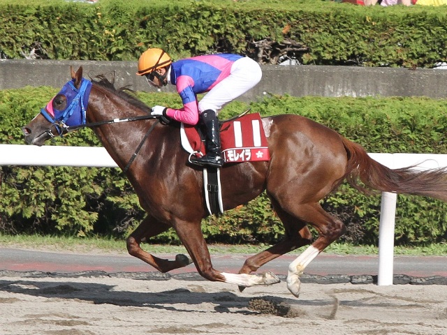 JRA】武豊騎手らの騎乗馬決定 2018ワールドオールスタージョッキーズ(2