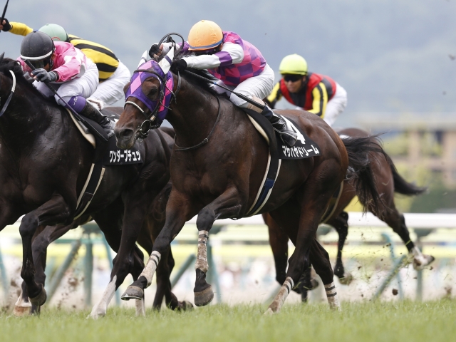 栗東の“馬っ気No.1”マサハヤドリーム/トレセン発秘話 | 競馬ニュース