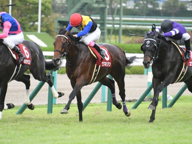 JRA 藤岡康太騎手500勝 ワグネリアン | www.innoveering.net