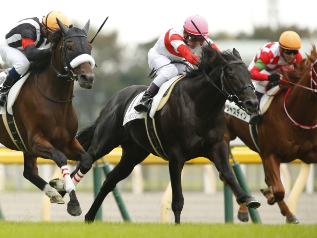 東京5R新馬】ダノンレジェンドの半弟ダノンキングリーが初陣飾る