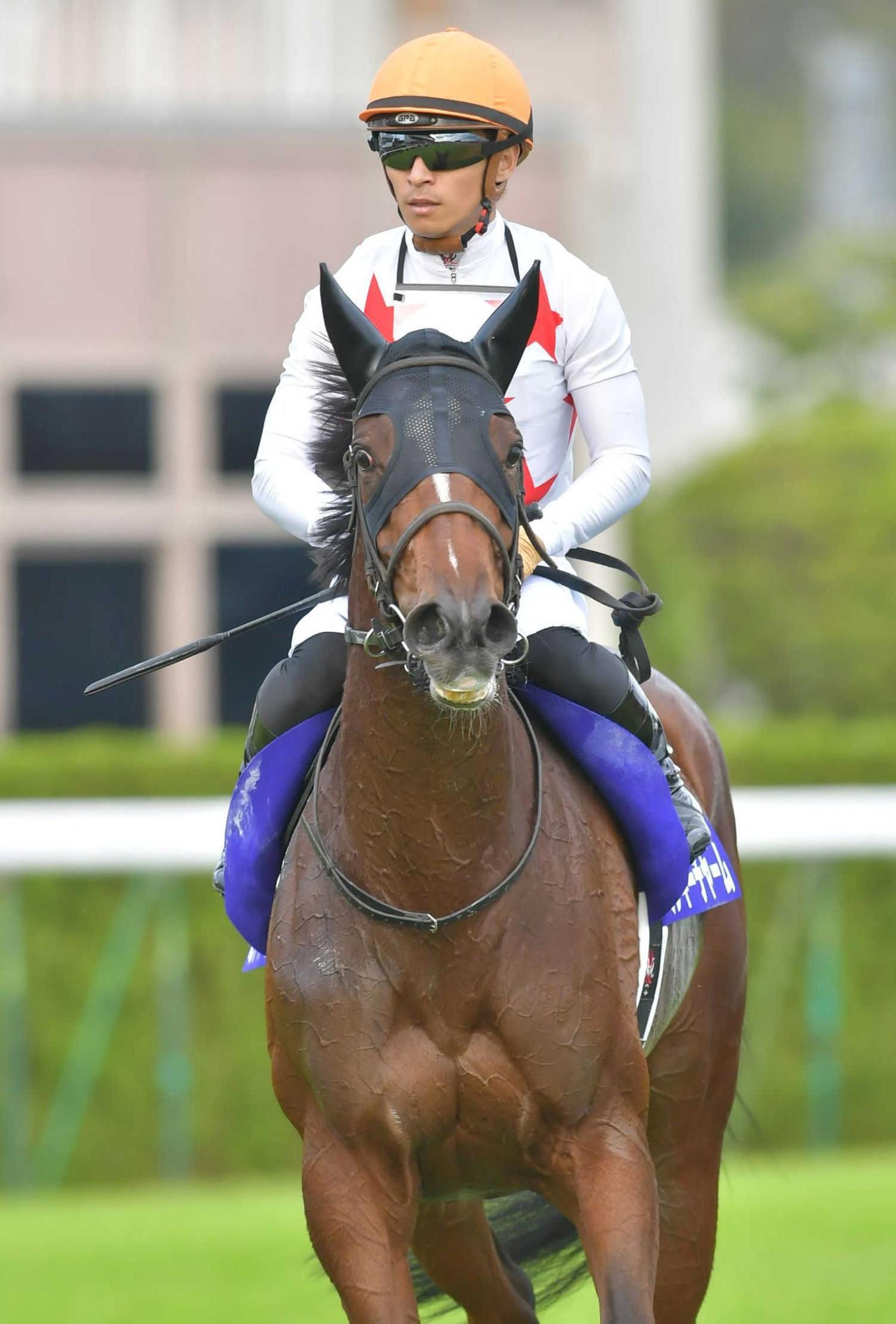 秋華賞】ミッキーチャーム２着死守 果敢に逃走、勢い見せつけた | 競馬