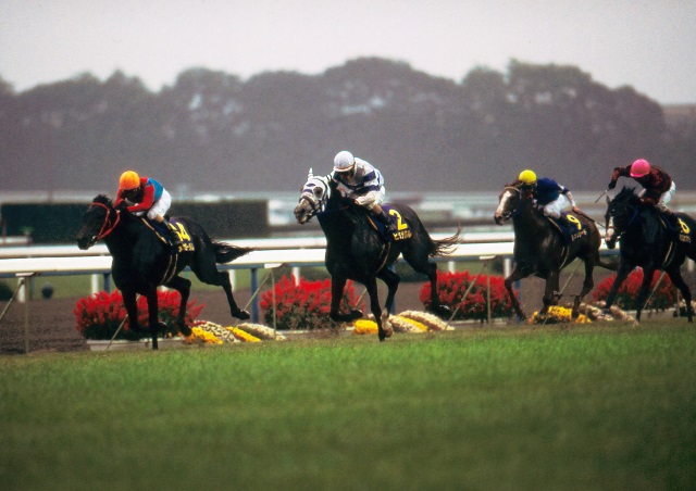 菊花賞】3連複34万円を演出したヒシミラクル/平成乱菊列伝 | 競馬