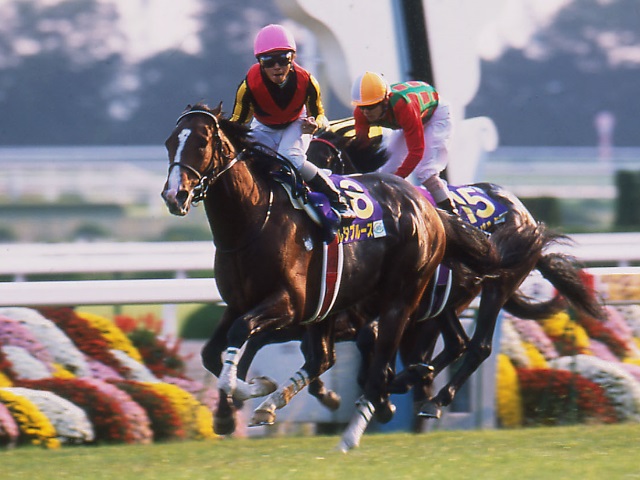 菊花賞】ダービー馬不在の一戦、地方所属の岩田康誠騎手と制したデルタブルース/平成乱菊列伝 | 競馬ニュース - netkeiba