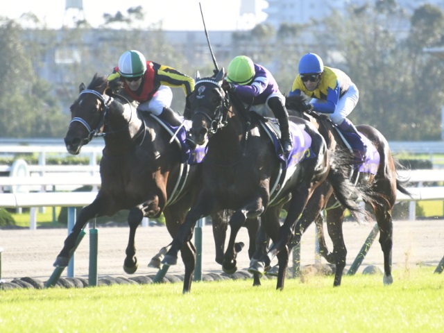 菊花賞】フィエールマンがV 関東馬17年ぶり優勝、最少キャリア制覇、ルメール騎手は年間GI・5勝目 | 競馬ニュース - netkeiba