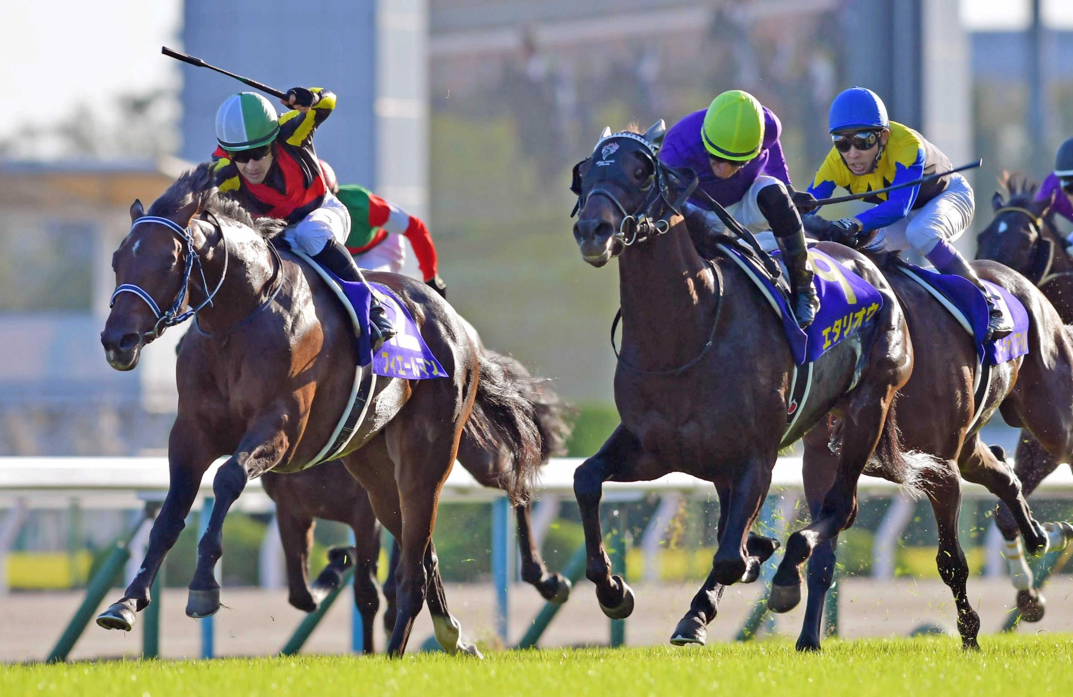 菊花賞】フィエールマン４戦目最少キャリアＶ ルメールはＧ１連勝＆重賞４連勝 | 競馬ニュース - netkeiba