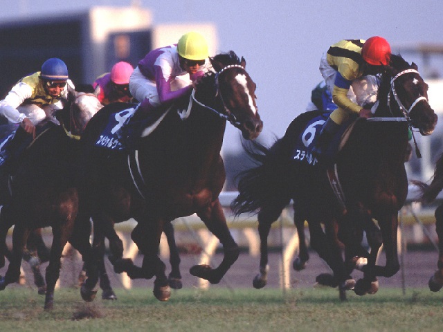 人気絶頂 【現地的中】単勝馬券 1999年 天皇賞(秋)スペシャルウィーク