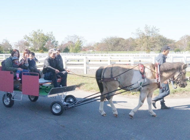 馬を親しむ入口になれば」 新ひだか町がポニー用馬車を購入、親子での乗車体験など 馬力本願プロジェクトの一環として | 競馬ニュース - netkeiba