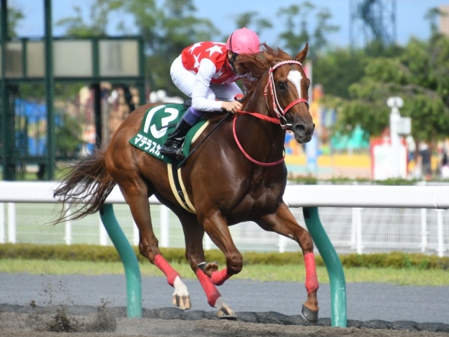 マテラスカイ ストア レコード