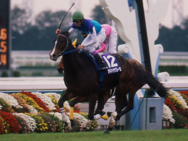 競馬 エリザベス女王杯 2003 アドマイヤグルーヴ ゼッケンコースター