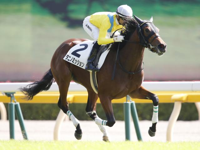 阪神JF】ウオッカの娘タニノミッションなど抽選対象馬は8頭 3頭が出走 