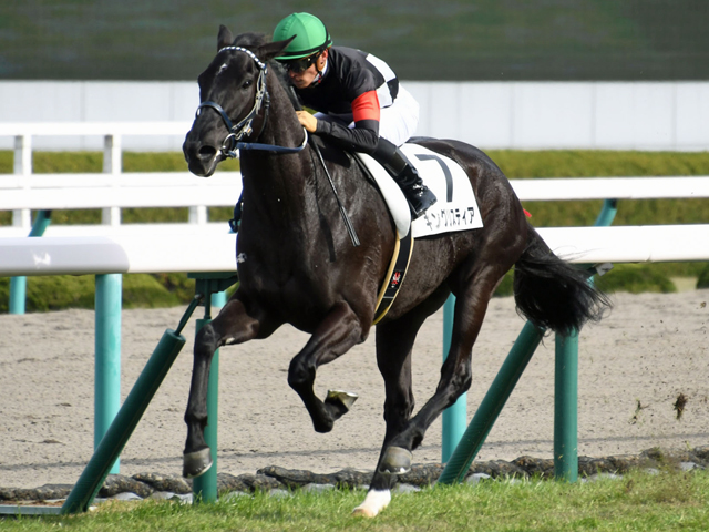 阪神5R新馬戦】キングリスティアが5馬身差で圧勝/JRAレース結果 | 競馬 
